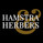 Logo Hamstra & Herbers